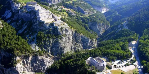 Redoute Marie Therese