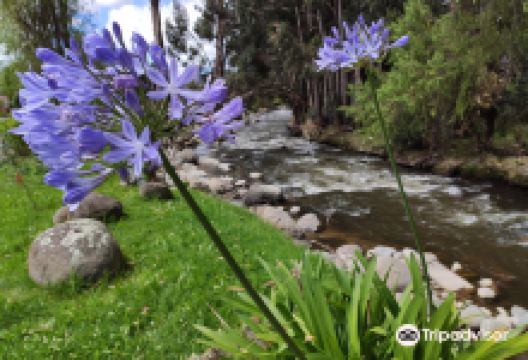 Rio Yanuncay景点图片