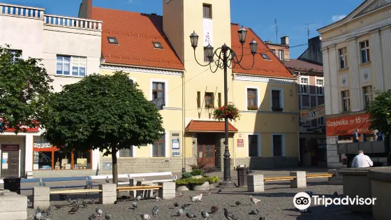 Muzeum w Rybniku