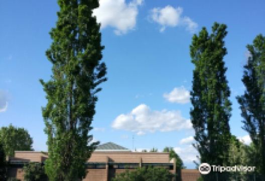 Il Parco Azzurro dei Germani景点图片