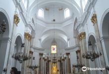 Basilica of the Birth of the Virgin Mary, Chełm景点图片