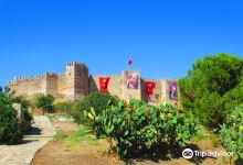 Ayasoluk Castle景点图片