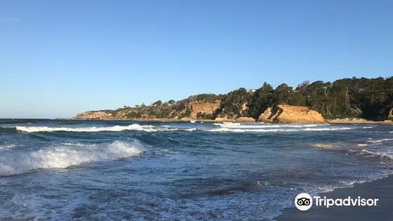 Tathra Beach