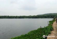 Sakhya Sagar Lake景点图片