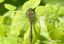 库金湖景点图片