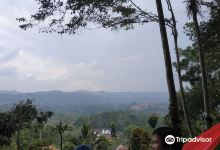 Kampung Lisung Uyut景点图片