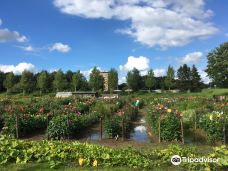 Park De Wezenlanden-兹沃勒