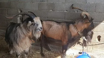 Fromagerie du Grand Jas