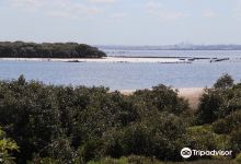 Towra Point Nature Reserve景点图片
