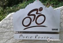 Monumento a Marco Pantani景点图片