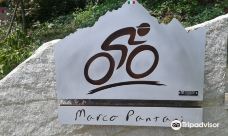Monumento a Marco Pantani-切塞纳蒂科