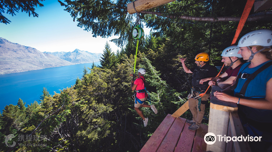 Ziptrek Ecotours生態高空滑索