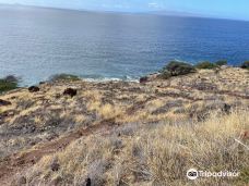 Papawai Scenic Lookout-茂宜县