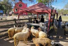 Khao Yai Farm Village景点图片