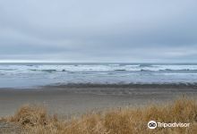 Twin Harbors State Park景点图片