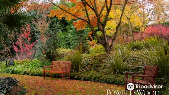 PowellsWood, A Northwest Garden