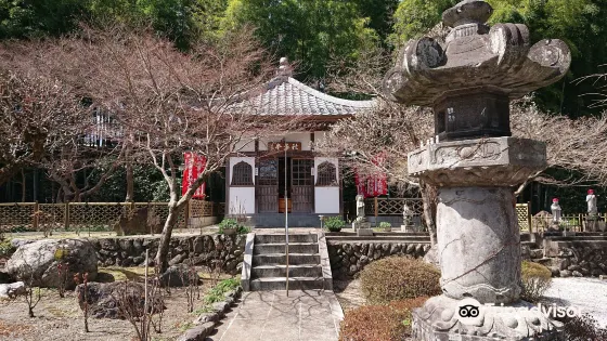 長泉院