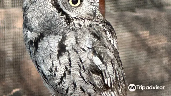 Liberty Wildlife (hospital intake daily 8-6pm, open hours vary - see website)