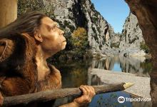 Museum of Prehistory Tautavel景点图片
