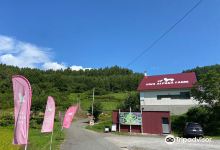 Viva Alpaca Farm景点图片