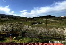 Argatia Winery景点图片