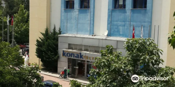 Konak Kultur Evi