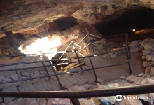 Tin Cup Mining Company景点图片