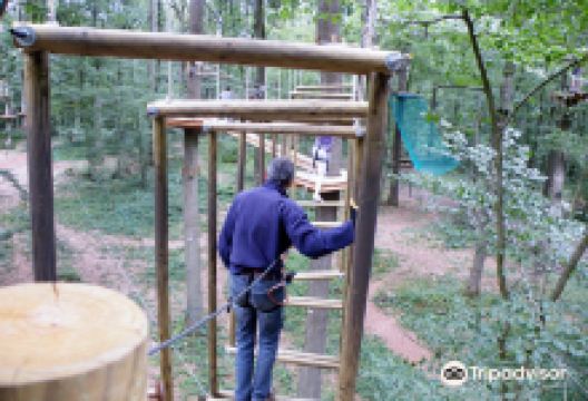 Cariwood景点图片