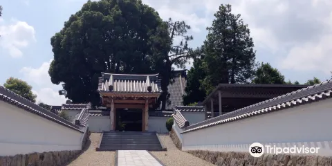 陽龍寺