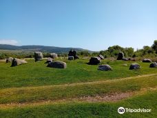 Machrie Moor Stone Circles-阿伦岛