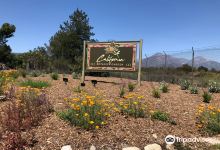 Rancho Santa Ana Botanic Garden景点图片