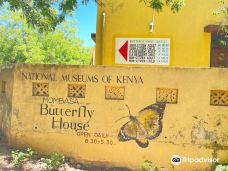 Mombasa Butterfly House-蒙巴萨