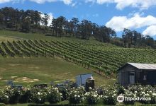 Elmslie Winery景点图片