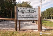 Alafia Scrub Nature Preserve景点图片