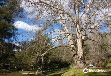 Ophir Reserve景点图片