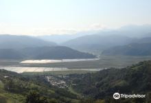 玉兰茶园景点图片