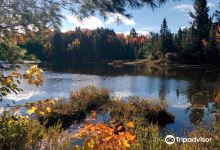 Peck Lake Trail景点图片
