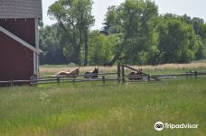 Wyoming Hereford Ranch-巴厘岛