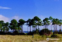 福特皮肯斯景点图片