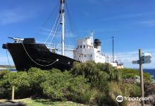 Albany's Historic Whaling Station景点图片