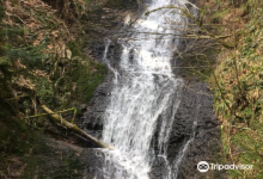 Saut de la Bourrique景点图片