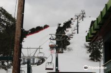 奥林匹斯山-特罗多斯山