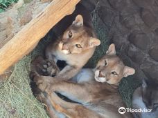 Predator World-Bojanala