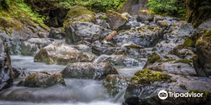 Rosewall Creek Provincial Park