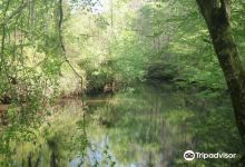 Occoneechee Mountain State Natural Area景点图片