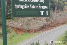 Springside Nature Reserve景点图片