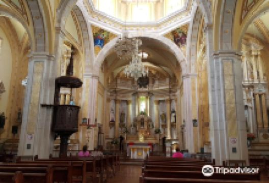 Church of the Immaculate Conception景点图片
