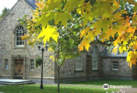 Irving Arboretum景点图片