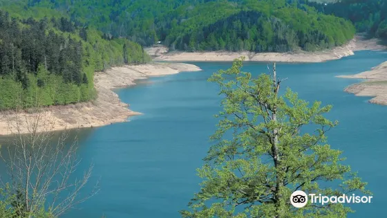 Lokvarsko jezero