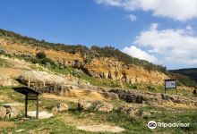 Parc - Paleo Archeo Centro景点图片